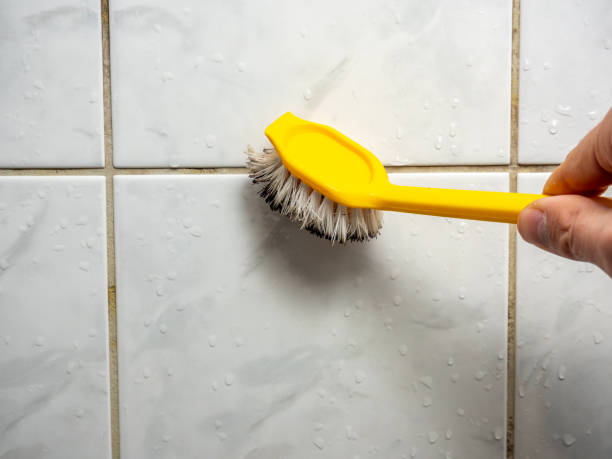Best Mold Damage Repair  in Moulton, AL